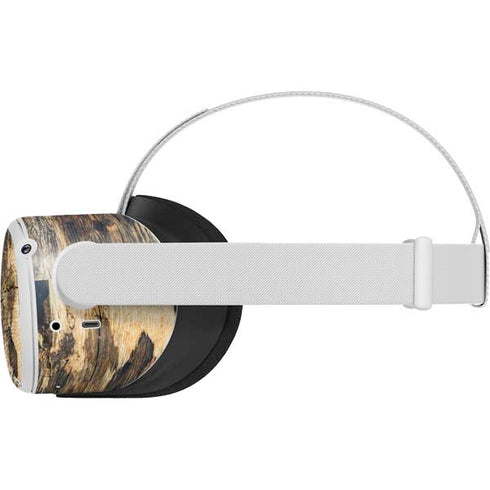 Blue Resin Wood Oculus Quest 2 Skin